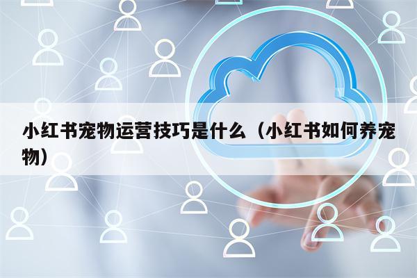 小红书宠物运营技巧是什么（小红书如何养宠物）