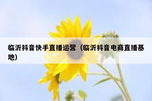 临沂抖音快手直播运营（临沂抖音电商直播基地）