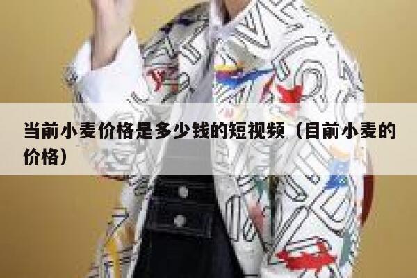 当前小麦价格是多少钱的短视频（目前小麦的价格）