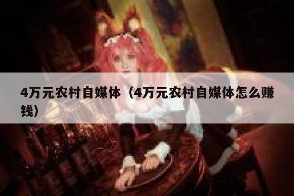 4万元农村自媒体（4万元农村自媒体怎么赚钱）