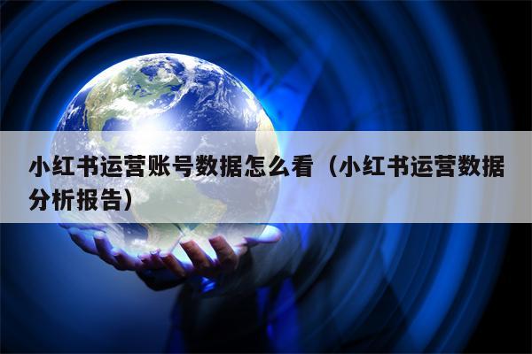 小红书运营账号数据怎么看（小红书运营数据分析报告）