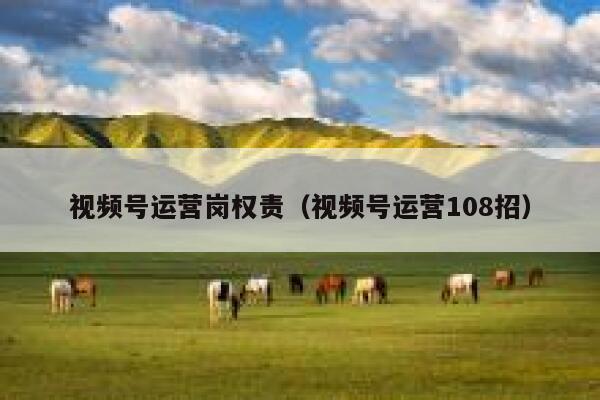 视频号运营岗权责（视频号运营108招）
