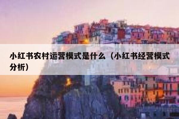 小红书农村运营模式是什么（小红书经营模式分析）