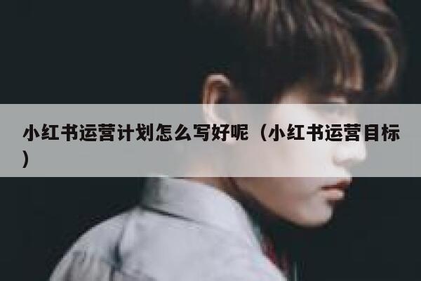 小红书运营计划怎么写好呢（小红书运营目标）