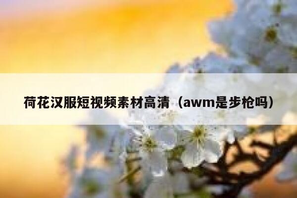 荷花汉服短视频素材高清（awm是步枪吗）