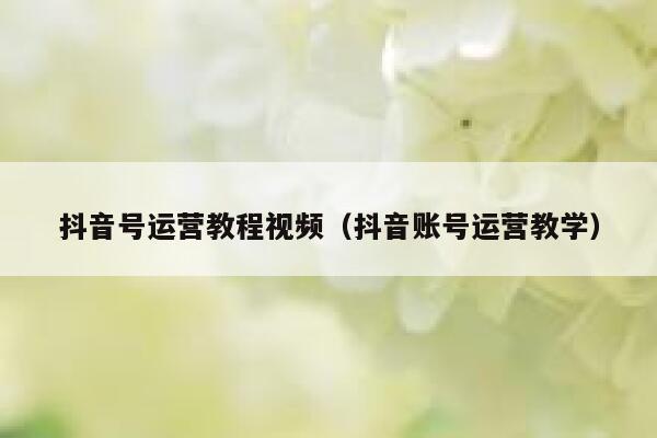 抖音号运营教程视频（抖音账号运营教学）