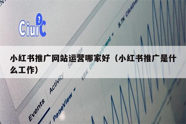 小红书推广网站运营哪家好（小红书推广是什么工作）