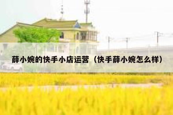 薛小婉的快手小店运营（快手薛小婉怎么样）