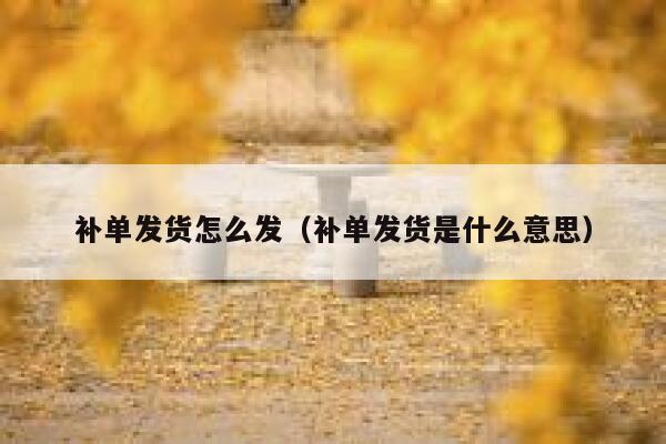 补单发货怎么发（补单发货是什么意思）