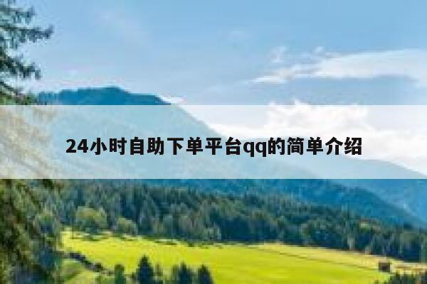 24小时自助下单平台qq的简单介绍