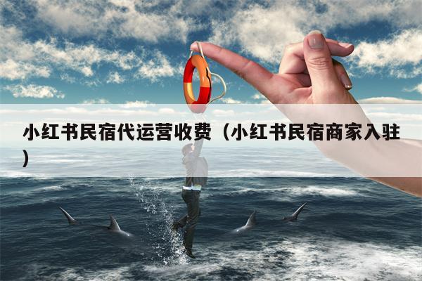 小红书民宿代运营收费（小红书民宿商家入驻）