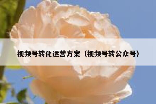 视频号转化运营方案（视频号转公众号）