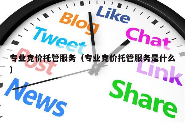 专业竞价托管服务（专业竞价托管服务是什么）