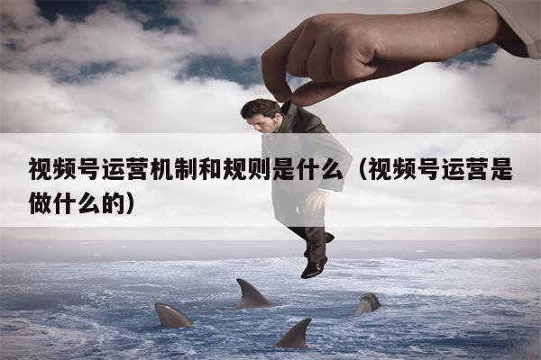 视频号运营机制和规则是什么（视频号运营是做什么的）