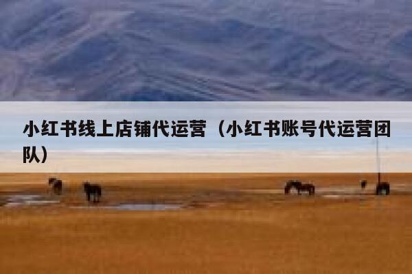 小红书线上店铺代运营（小红书账号代运营团队）