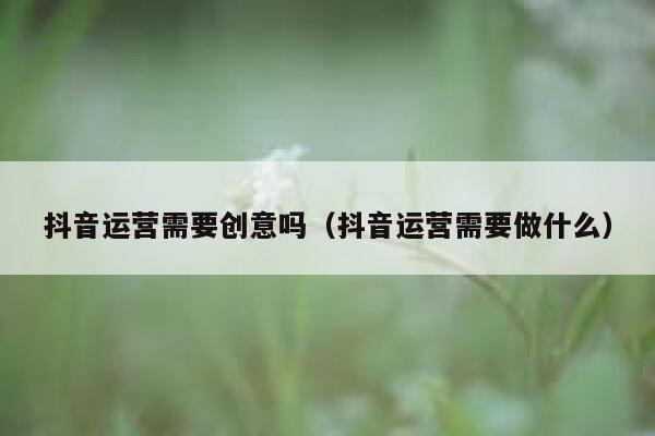 抖音运营需要创意吗（抖音运营需要做什么）