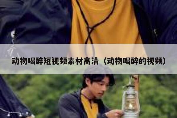 动物喝醉短视频素材高清（动物喝醉的视频）