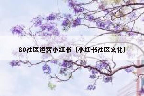 80社区运营小红书（小红书社区文化）