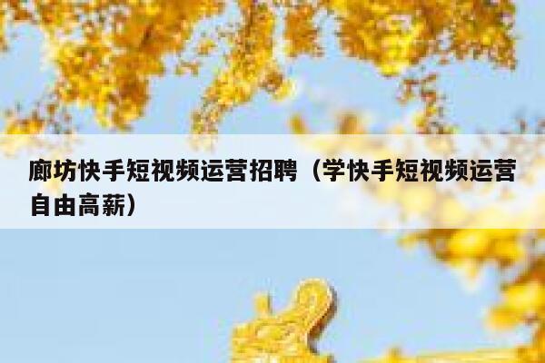 廊坊快手短视频运营招聘（学快手短视频运营自由高薪）