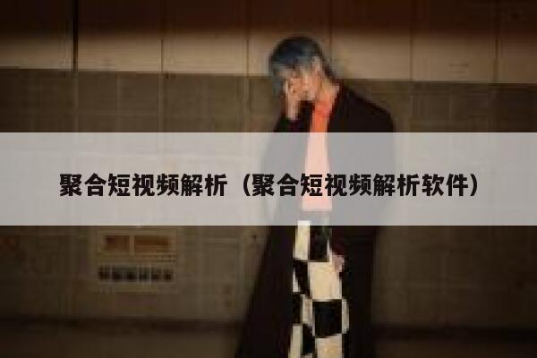 聚合短视频解析（聚合短视频解析软件）