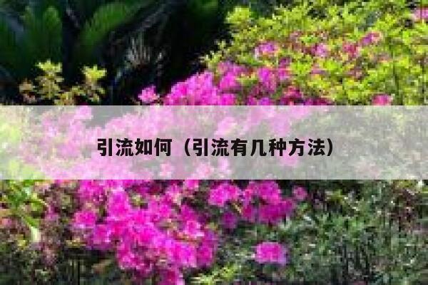 引流如何（引流有几种方法）