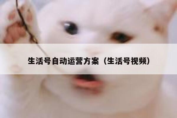 生活号自动运营方案（生活号视频）