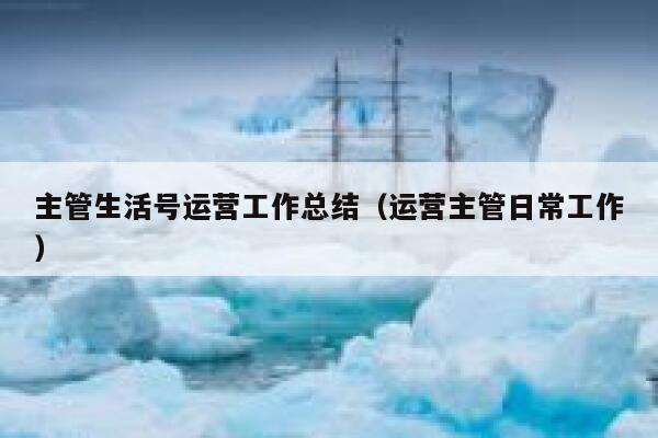 主管生活号运营工作总结（运营主管日常工作）