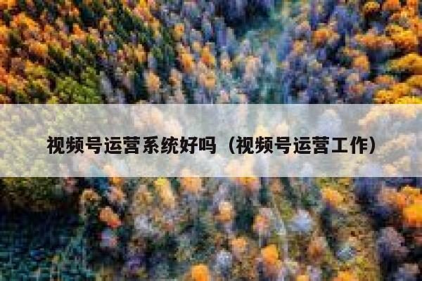 视频号运营系统好吗（视频号运营工作）