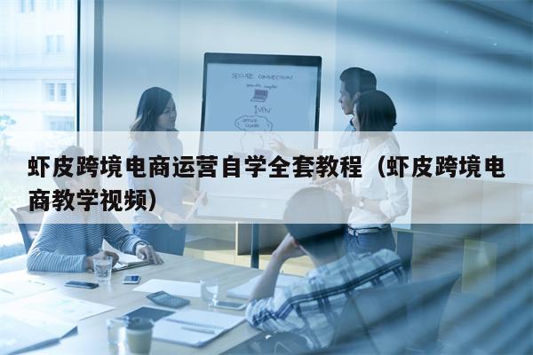 虾皮跨境电商运营自学全套教程（虾皮跨境电商教学视频）