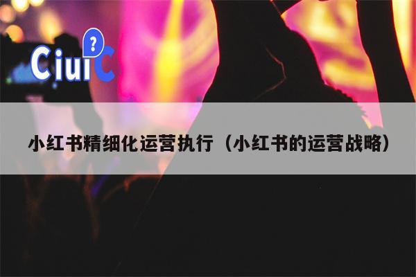 小红书精细化运营执行（小红书的运营战略）
