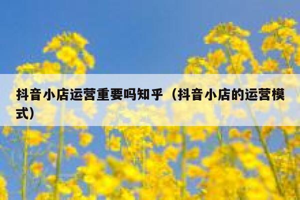 抖音小店运营重要吗知乎（抖音小店的运营模式）