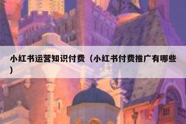 小红书运营知识付费（小红书付费推广有哪些）