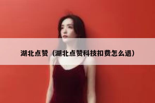 湖北点赞（湖北点赞科技扣费怎么退）