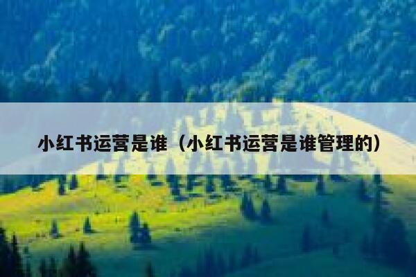 小红书运营是谁（小红书运营是谁管理的）