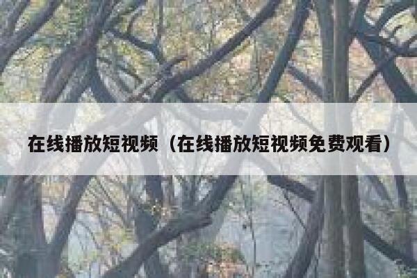 在线播放短视频（在线播放短视频免费观看）