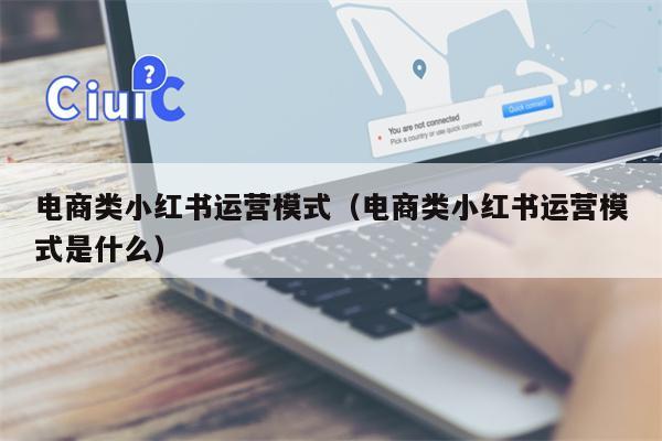 电商类小红书运营模式（电商类小红书运营模式是什么）
