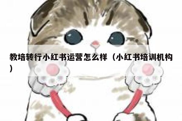 教培转行小红书运营怎么样（小红书培训机构）
