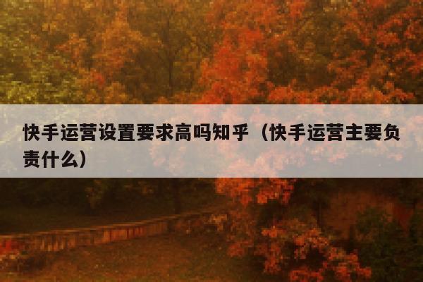 快手运营设置要求高吗知乎（快手运营主要负责什么）