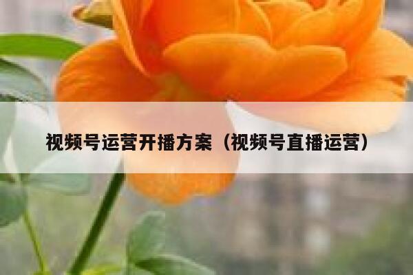 视频号运营开播方案（视频号直播运营）