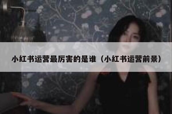 小红书运营最厉害的是谁(小红书运营前景)