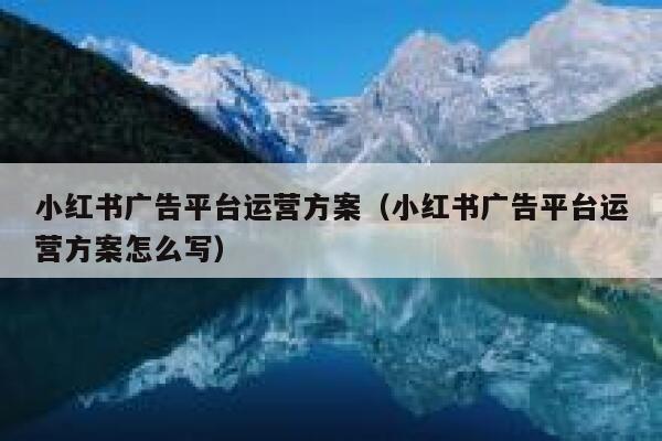 小红书广告平台运营方案（小红书广告平台运营方案怎么写）