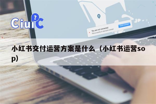 小红书交付运营方案是什么（小红书运营sop）