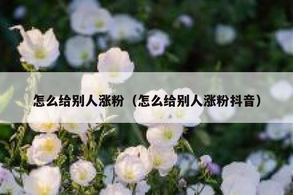 怎么给别人涨粉（怎么给别人涨粉抖音）