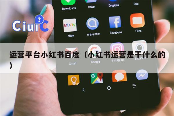 详细阅读:运营平台小红书百度(小红书运营是干什么的) 运营平台小红书百度(小红书运营是干什么的)