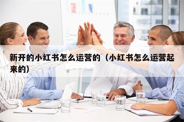 详细阅读:新开的小红书怎么运营的(小红书怎么运营起来的) 新开的小红书怎么运营的(小红书怎么运营起来的)