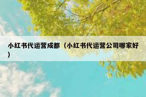 小红书代运营成都（小红书代运营公司哪家好）