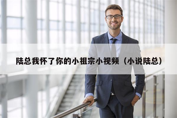 陆总我怀了你的小祖宗小视频（小说陆总）
