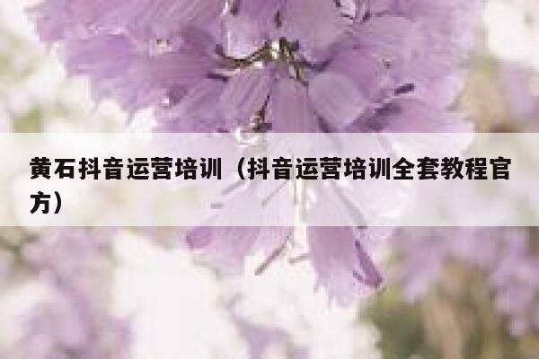 黄石抖音运营培训（抖音运营培训全套教程官方）