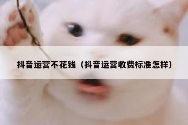 抖音运营不花钱（抖音运营收费标准怎样）