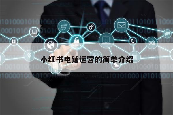 小红书电铺运营的简单介绍